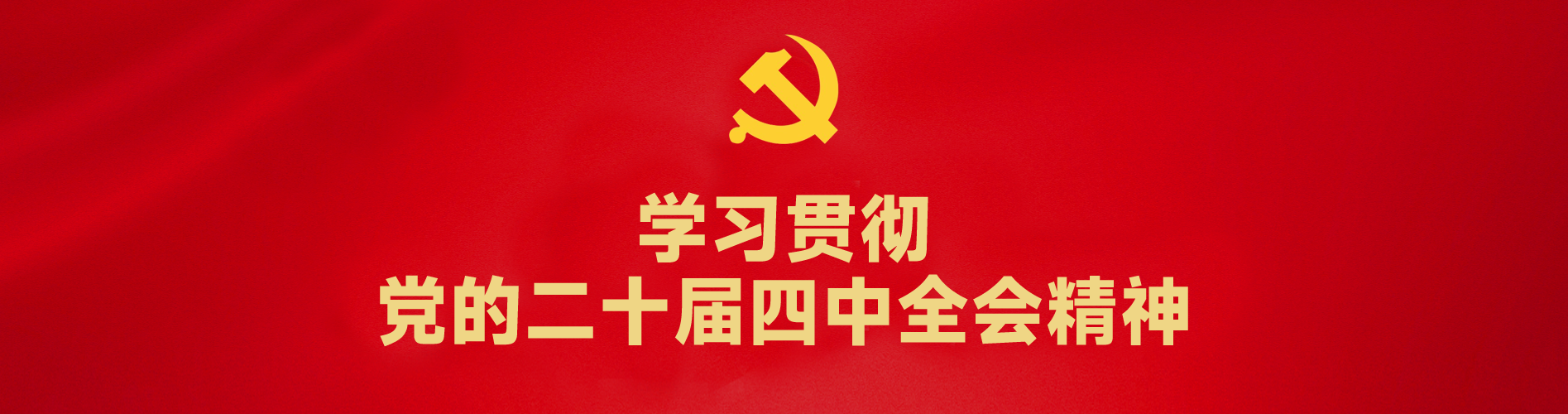 学习贯彻党的二十届四中全会精神